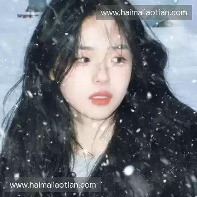 经新海