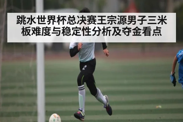 跳水世界杯总决赛王宗源男子三米板难度与稳定性分析及夺金看点